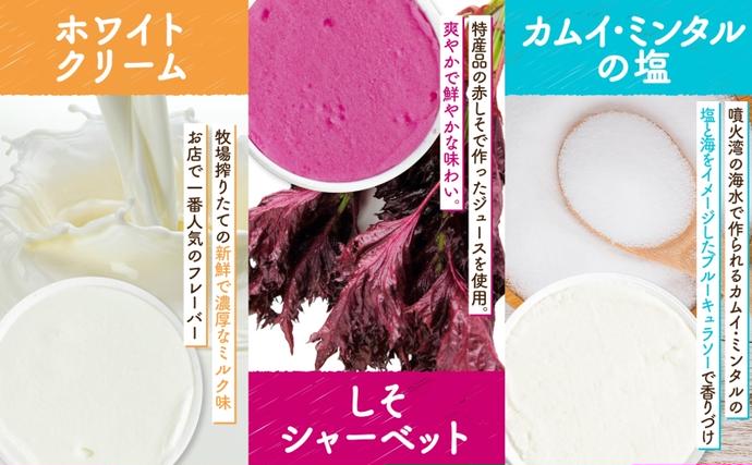 北海道洞爺湖町のふるさと納税 北海道 まきばのジェラート 6種 各2個 計12個 セット ジェラート ミルク 赤しそ カムイミンタルの塩 とうもろこし かぼちゃ 白花豆 アイスクリーム 保存料不使用 シャーベット 地産地消 アイス 牛乳 氷菓 お取り寄せ グルメ ギフト 送料無料 スイーツ