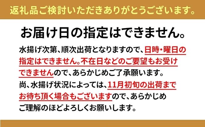 北海道洞爺湖町のふるさと納税 北海道 塩水 ウニ 100g 2パック 1月下旬頃～3月末頃まで順次出荷 バフン ムラサキ うに 雲丹 海鮮 ミョウバン不使用 小川商店