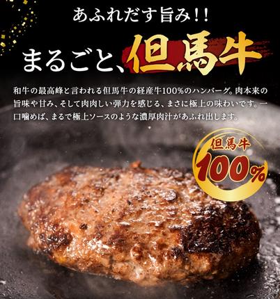 兵庫県市川町のふるさと納税 【累計5,000個突破！】但馬牛経産牛ハンバーグ（150g×5個）010AA09N.／個包装 牛肉 黒毛和牛 100% 国産 経産牛 和牛 赤身 味付け ほくぶ バーベキュー bbq キャンプ アウトドア 焼肉 小分け 簡単調理 セット 詰め合わせ 詰合せ 冷凍 お弁当 おかず