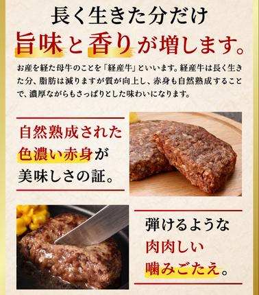 兵庫県市川町のふるさと納税 【累計5,000個突破！】但馬牛経産牛ハンバーグ（150g×5個）010AA09N.／個包装 牛肉 黒毛和牛 100% 国産 経産牛 和牛 赤身 味付け ほくぶ バーベキュー bbq キャンプ アウトドア 焼肉 小分け 簡単調理 セット 詰め合わせ 詰合せ 冷凍 お弁当 おかず