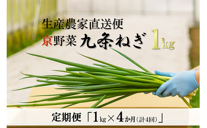 4か月定期便】生産農家直送 京野菜・九条ねぎ1kg〈定期便 ねぎ ネギ 葱