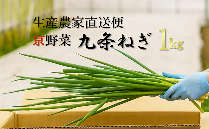 京都府宇治田原町のふるさと納税 生産農家直送 京野菜・九条ねぎ1kg〈ねぎ ネギ 葱 九条ねぎ 京野菜 京都 新鮮 甘い 農家直送 野菜〉