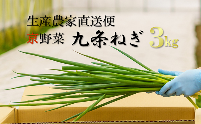 京都府宇治田原町のふるさと納税 生産農家直送 京野菜・九条ねぎ3kg〈ねぎ ネギ 葱 九条ねぎ 京野菜 京都 新鮮 甘い 農家直送 野菜〉