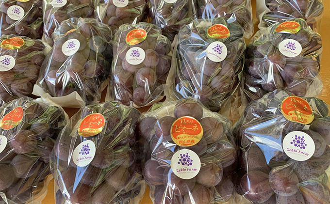 岡山県高梁市のふるさと納税 ニュー ピオーネ 2kg前後 3房～5房 葡萄 フルーツ 岡山 高梁市産 ぜきお農園 ぶどうclub 2026年 先行予約 果物