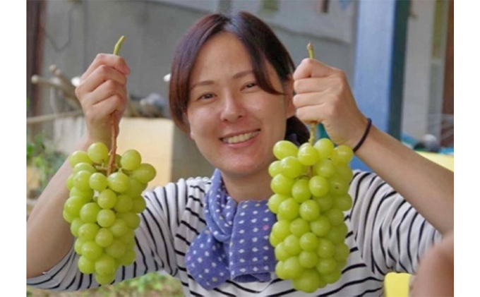 岡山県高梁市のふるさと納税 シャインマスカット 2房 合計1kg前後 葡萄 フルーツ 岡山 高梁市産 ぜきお農園 ぶどうclub 2026年 先行予約 果物類