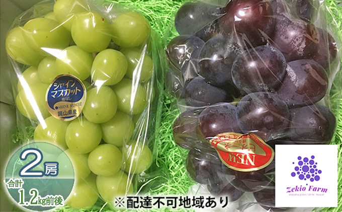 岡山県高梁市のふるさと納税 ぶどう食比べセット 2房 合計1kg前後 葡萄 フルーツ 岡山 高梁市産 ぜきお農園 ぶどうclub 2026年 先行予約 果物類 マスカット 果物