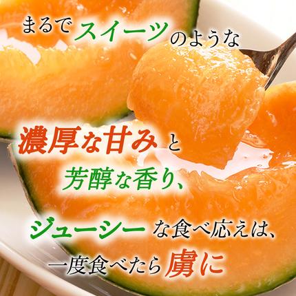 令和8年産】 【糖度限界突破】ふらの 赤肉メロン Lサイズ（約1.7kg/玉