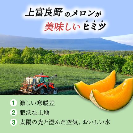 令和8年産】 【糖度限界突破】ふらの 赤肉メロン Lサイズ（約1.7kg/玉