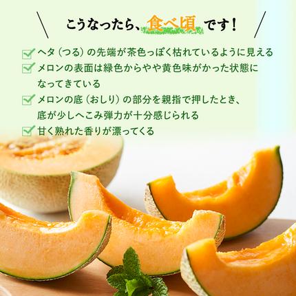 令和8年産】 【糖度限界突破】ふらの 赤肉メロン Lサイズ（約1.7kg/玉