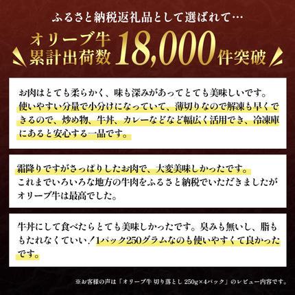 【ふるさと納税で牛肉の切り落とし】黒毛和牛オリーブ牛の切落し1kg（小分け250g×4パック）は第11回全国和牛能力共進会「特別賞 脂肪の質」を受賞【牛肉・冷凍・和牛・1キロ・A5】