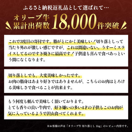 【ふるさと納税で牛肉の切り落とし】黒毛和牛オリーブ牛の切落し1kgはカレーなど使い勝手抜群の牛肉です【冷凍・和牛・1キロ・A5・国産牛・お肉・お取り寄せ・お取り寄せグルメ】