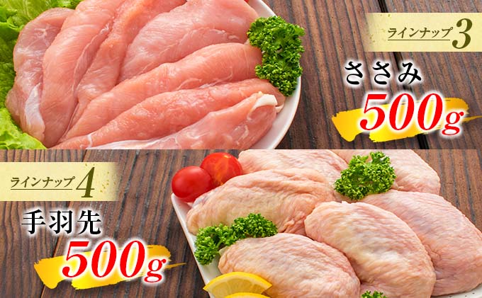 宮崎県日南市のふるさと納税 ≪様々な料理に大活躍!≫ 小分け 真空パック 鶏肉 バラエティ セット 合計3kg 鶏もも肉 鶏むね肉 ささみ 手羽先 手羽元 詰め合わせ 国産 肉 大満足 6種 食品 おかず からあげ BBQ 人気 おすすめ お弁当 万能食材 宮崎県 日南市 送料無料_BC123-25