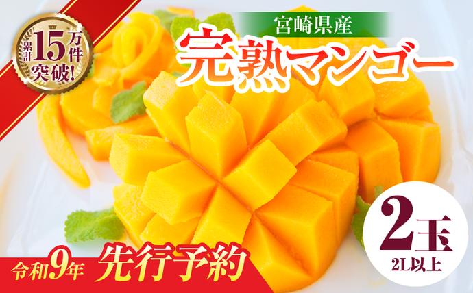 先行予約 宮崎県産 完熟 マンゴー 2L以