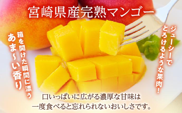 宮崎県日南市のふるさと納税 先行予約 宮崎県産 完熟 マンゴー 2L以上 2玉 令和9年発送 2027年 フルーツ 果物 くだもの 宮崎マンゴー 希少 濃厚 ご褒美 お祝い 国産 食品 おやつ デザート 産地直送 おすすめ 贈り物 贈答 ギフト プレゼント 選べる 日南市 送料無料_CB131-26
