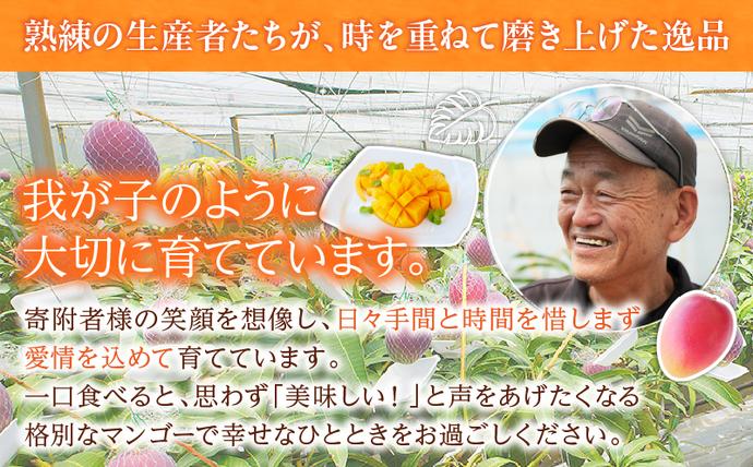 宮崎県日南市のふるさと納税 先行予約 宮崎県産 完熟 マンゴー 2L以上 2玉 令和9年発送 2027年 フルーツ 果物 くだもの 宮崎マンゴー 希少 濃厚 ご褒美 お祝い 国産 食品 おやつ デザート 産地直送 おすすめ 贈り物 贈答 ギフト プレゼント 選べる 日南市 送料無料_CB131-26