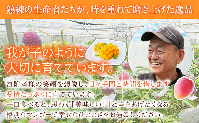 宮崎県日南市のふるさと納税 リピーター続出!!宮崎県産 完熟 マンゴー 2L以上×2玉 令和8年発送分 数量限定 フルーツ 果物 果汁 希少 濃厚 ジューシー 贅沢 上質 ご褒美 人気 国産 食品 おやつ デザート 産地直送 おすすめ ギフト プレゼント 贈り物 お土産 手土産 南国 日南市 送料無料_C123-24