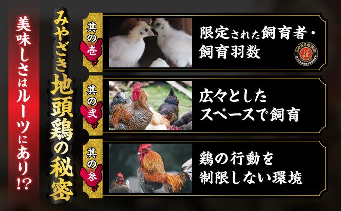 宮崎県日南市のふるさと納税 みやざき地頭鶏 炭火焼き 計1.5kg 鶏肉 地鶏 国産 加工品 惣菜 食品 ブランド 小分け 個包装 おすそ分け 本格的 こだわり おかず お弁当 おつまみ 晩ご飯 簡単調理 レンチン お取り寄せ グルメ 名物 ご当地 宮崎県 日南市 送料無料_E35-22