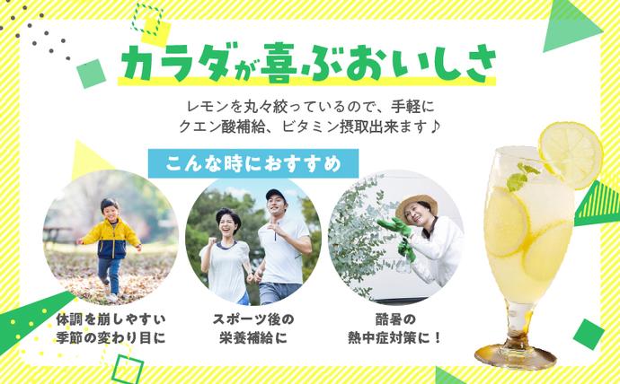 宮崎県日南市のふるさと納税 無添加 てんさい糖使用 数量限定 日南レモン シロップ 500ml 2本 セット れもん 檸檬 柑橘 ジュース フルーツ 果物 くだもの 飲料 飲み物 オリジナル ブレンド ホット アイス ソーダ割 レモンケーキ 国産 人気 おすすめ ギフト 贈り物 贈答 宮崎県 送料無料_CC70-25