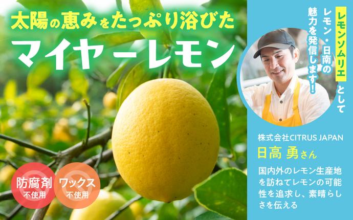 宮崎県日南市のふるさと納税 無添加 てんさい糖使用 数量限定 日南レモン シロップ 500ml 2本 セット れもん 檸檬 柑橘 ジュース フルーツ 果物 くだもの 飲料 飲み物 オリジナル ブレンド ホット アイス ソーダ割 レモンケーキ 国産 人気 おすすめ ギフト 贈り物 贈答 宮崎県 送料無料_CC70-25