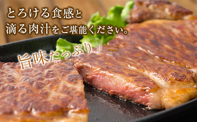 宮崎県日南市のふるさと納税 4等級以上 宮崎牛 ロース ステーキ 計400g 牛肉 ビーフ 黒毛和牛 国産 ブランド牛 食品 おかず 焼肉 バーベキュー 鉄板焼き 高級 贅沢 おすすめ お祝 記念日 ご褒美 おつまみ お取り寄せ グルメ ギフト プレゼント 贈り物 贈答品 宮崎県 日南市 送料無料_CD71-25