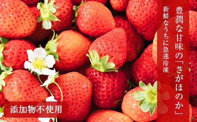 宮崎県日南市のふるさと納税 グランプリ受賞 数量限定 冷凍いちご シロップ付 計1kg+170g 【クラッシュタイプ】 果物 くだもの フルーツ 苺 国産 自家製 スムージー イチゴジャム おやつ デザート 詰め合わせ 小分け 産地直送 おすそ分け 贈り物 ギフト 宮崎県 日南市 送料無料_BAV2-24