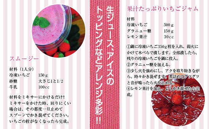 宮崎県日南市のふるさと納税 グランプリ受賞 数量限定 冷凍いちご シロップ付 計1kg+170g 【クラッシュタイプ】 果物 くだもの フルーツ 苺 国産 自家製 スムージー イチゴジャム おやつ デザート 詰め合わせ 小分け 産地直送 おすそ分け 贈り物 ギフト 宮崎県 日南市 送料無料_BAV2-24