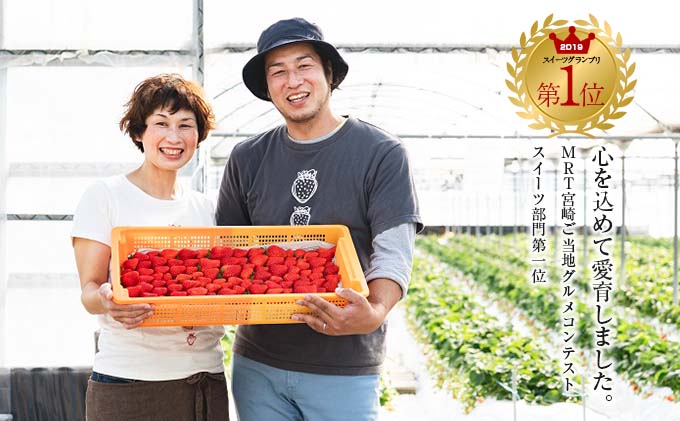 宮崎県日南市のふるさと納税 グランプリ受賞 数量限定 冷凍いちご シロップ付 計1kg+170g 【クラッシュタイプ】 果物 くだもの フルーツ 苺 国産 自家製 スムージー イチゴジャム おやつ デザート 詰め合わせ 小分け 産地直送 おすそ分け 贈り物 ギフト 宮崎県 日南市 送料無料_BAV2-24