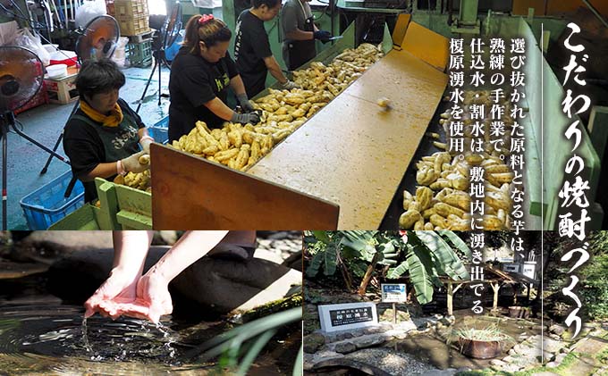 宮崎県日南市のふるさと納税 6か月 お楽しみ 定期便 本格芋焼酎 飫肥杉 爽 黒 赤 各900ml 合計36本 20度 お酒 アルコール 飲料 国産 井上酒造 呑み比べ 晩酌 家呑み 宅呑み ご褒美 お祝い 記念日 パーティー おうち時間 おすすめ お取り寄せ グルメ 詰め合わせ 宮崎県 日南市 送料無料_L8-23