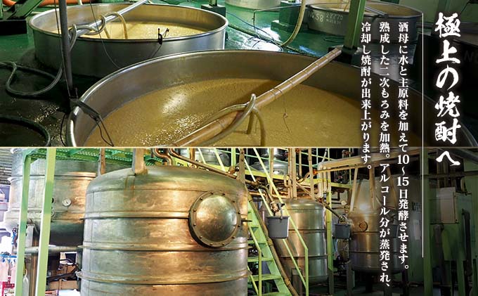 宮崎県日南市のふるさと納税 6か月 お楽しみ 定期便 本格芋焼酎 飫肥杉 爽 黒 赤 各900ml 合計36本 20度 お酒 アルコール 飲料 国産 井上酒造 呑み比べ 晩酌 家呑み 宅呑み ご褒美 お祝い 記念日 パーティー おうち時間 おすすめ お取り寄せ グルメ 詰め合わせ 宮崎県 日南市 送料無料_L8-23