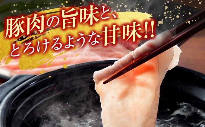 宮崎県日南市のふるさと納税 豚肉 3種 バラエティ セット 合計2kg 国産 宮崎県産 ポーク 豚ロース 切り落とし スライス おかず お弁当 おつまみ 食品 グルメ しゃぶしゃぶ とんかつ用 万能食材 焼肉 詰め合わせ 小分け 人気 おすすめ お取り寄せ おすそ分け 日南市 ミヤチク 送料無料_BB120-23