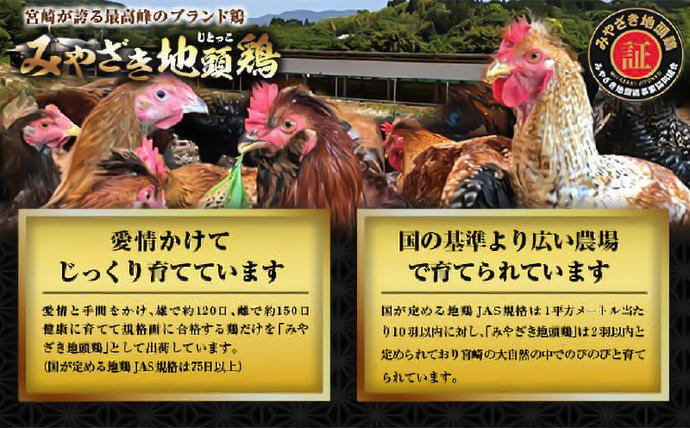 宮崎県日南市のふるさと納税 数量限定 日南の逸品 キャビア 地鶏 コラボ セット 全6種類 炭火焼 地頭鶏 三大珍味 高級 黒いダイヤ 魚卵 魚介 魚貝 国産 食品 加工品 惣菜 簡単調理 プレゼント 贈り物 ギフト ご褒美 お祝い 記念日 パーティー お取り寄せ グルメ 宮崎県 日南市 送料無料_F79-25