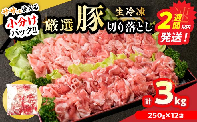 冷凍 厳選 豚切り落とし 計3kg 国産 食品 豚肉 ぶた ポーク 小分け 個包装 真空パック 便利 生姜焼き 野菜炒め 豚汁 肉じゃが 豚丼 お弁当 おかず 晩ご飯 おすすめ 使い切りサイズ 万能食材 おすそ分け 宮崎県 日南市 送料無料_C167-26-2W