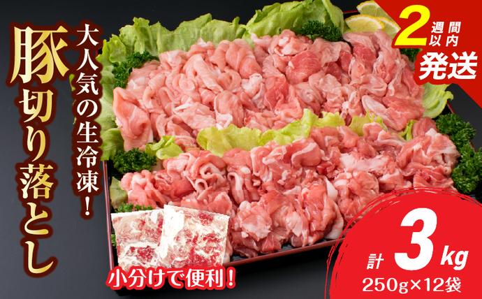 宮崎県日南市のふるさと納税 大人気 生冷凍 厳選 豚切り落とし 計3kg 国産 食品 豚肉 ぶた ポーク 小分け 個包装 真空パック 便利 大容量 生姜焼き 野菜炒め 豚汁 肉じゃが 豚丼 お弁当 おかず 晩ご飯 おすすめ 使い切りサイズ 万能食材 おすそ分け 宮崎県 日南市 送料無料_CB111-25-2W