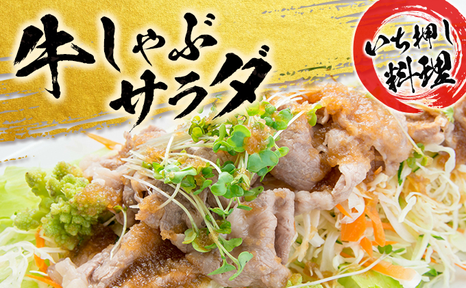 宮崎県日南市のふるさと納税 3か月 お楽しみ 定期便 黒毛和牛 スライス 豚 ハンバーグ 総重量2.4kg 牛肉 豚肉 国産 すき焼き しゃぶしゃぶ 肩ロース ウデ モモ 食品 おかず お弁当 グルメ 贅沢 ご褒美 お祝 人気 おすすめ 詰め合わせ お取り寄せ ミヤチク 宮崎県 日南市 送料無料_GE15-25