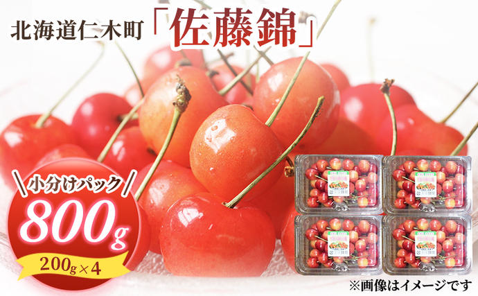 北海道仁木町のふるさと納税 先行受付 さくらんぼ 佐藤錦 800g（200g×4）M-Lサイズ混合  サクランボ チェリー フルーツ 果物 果物類  北海道 仁木町 仁木 [大塚農園]