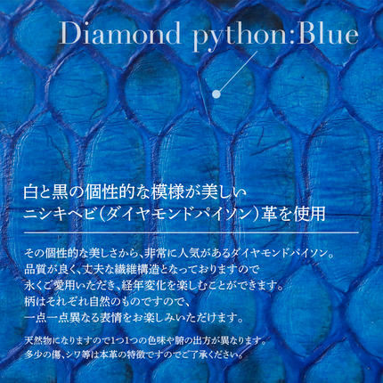 福岡県大木町のふるさと納税 マネークリップ（ダイヤモンドパイソン・ブルー）　BK001