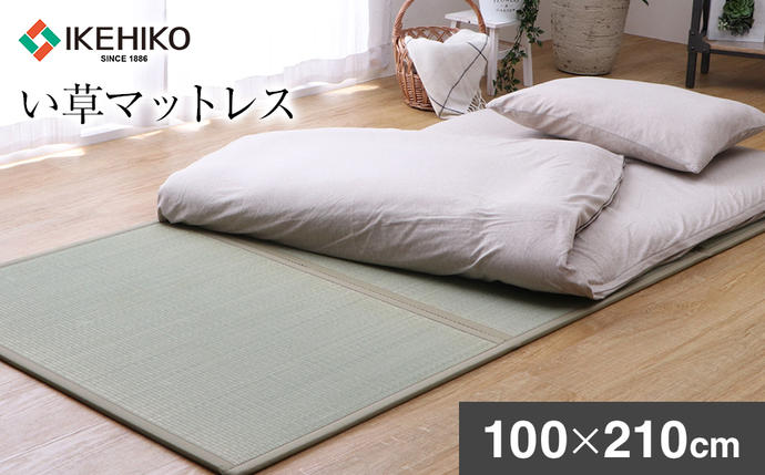 福岡県大木町のふるさと納税 い草マットレス　（100×210）　AA038