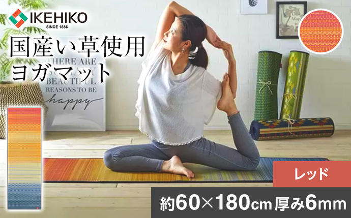 福岡県大木町のふるさと納税 畳ヨガJAPAN　ジョイ（60×180）（レッド）　AA050