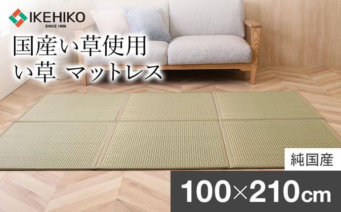 福岡県大木町のふるさと納税 い草マットレス　フレア　シングル（グリーン）　AA069