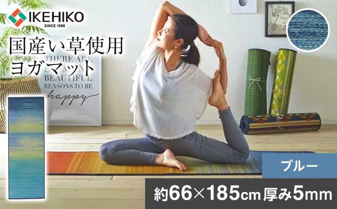 福岡県大木町のふるさと納税 畳ヨガＥＣＯ　ｓｋｙｓｅａ　（６６×１８５）（ブルー）　AA065