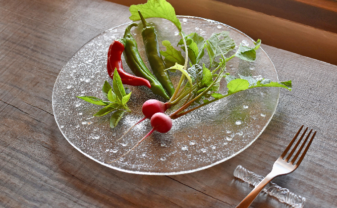 ガラス お皿 1枚 大皿 プレート 食器 ガラス製 ガラス製品 日用品