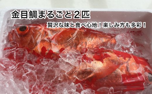 高知県田野町のふるさと納税 【四国一小さなまち】　≪土佐沖獲れ≫　高級魚『金目鯛』まるごと２匹（冷蔵）