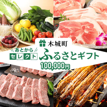宮崎県木城町のふるさと納税 あとからセレクト【ふるさとギフト】１０万円 K99-010