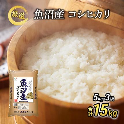 新潟県魚沼市のふるさと納税 令和7年産『お米アドバイザー厳選！』魚沼産コシヒカリ 精米15kg（5kg×3）