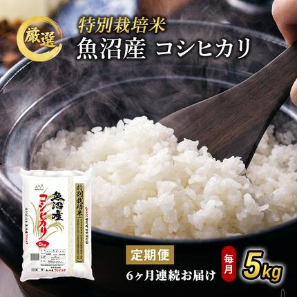 新潟県魚沼市のふるさと納税 特別栽培米 お米アドバイザー厳選 魚沼産 コシヒカリ 精米 5kg 6ヶ月 連続 （ 米 定期便 こしひかり 特別栽培 魚沼 精米 お米 定期 新潟 魚沼産コシヒカリ 魚沼産こしひかり こめ お楽しみ 6回 ）
