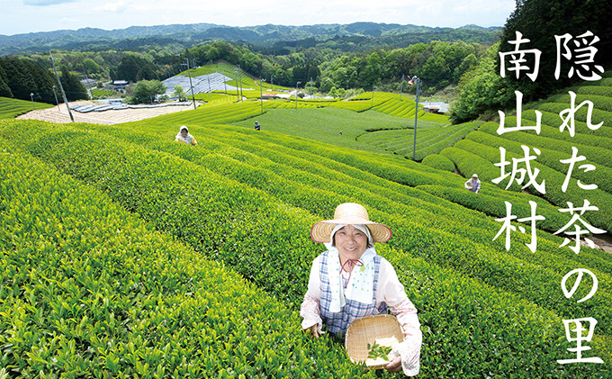 京都府南山城村のふるさと納税 むらちゃ水ようかん6個セット 和菓子 羊羹