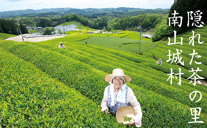 京都府南山城村のふるさと納税 【宇治抹茶スイーツ】抹茶の味がしっかりと味わえる　むらちゃアイス抹茶12個セット お菓子 京都