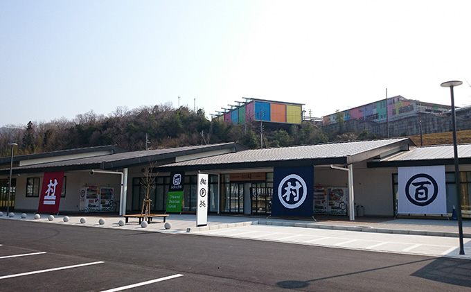 京都府南山城村のふるさと納税 【宇治抹茶スイーツ】抹茶の味がしっかりと味わえる　むらちゃアイス抹茶12個セット お菓子 京都