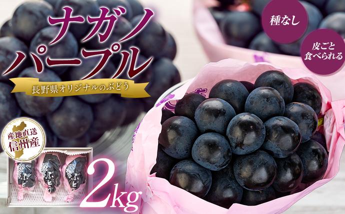 ぶどう ナガノパープル 2kg 葡萄 ブド