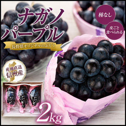 ぶどう ナガノパープル 2kg 葡萄 ブド